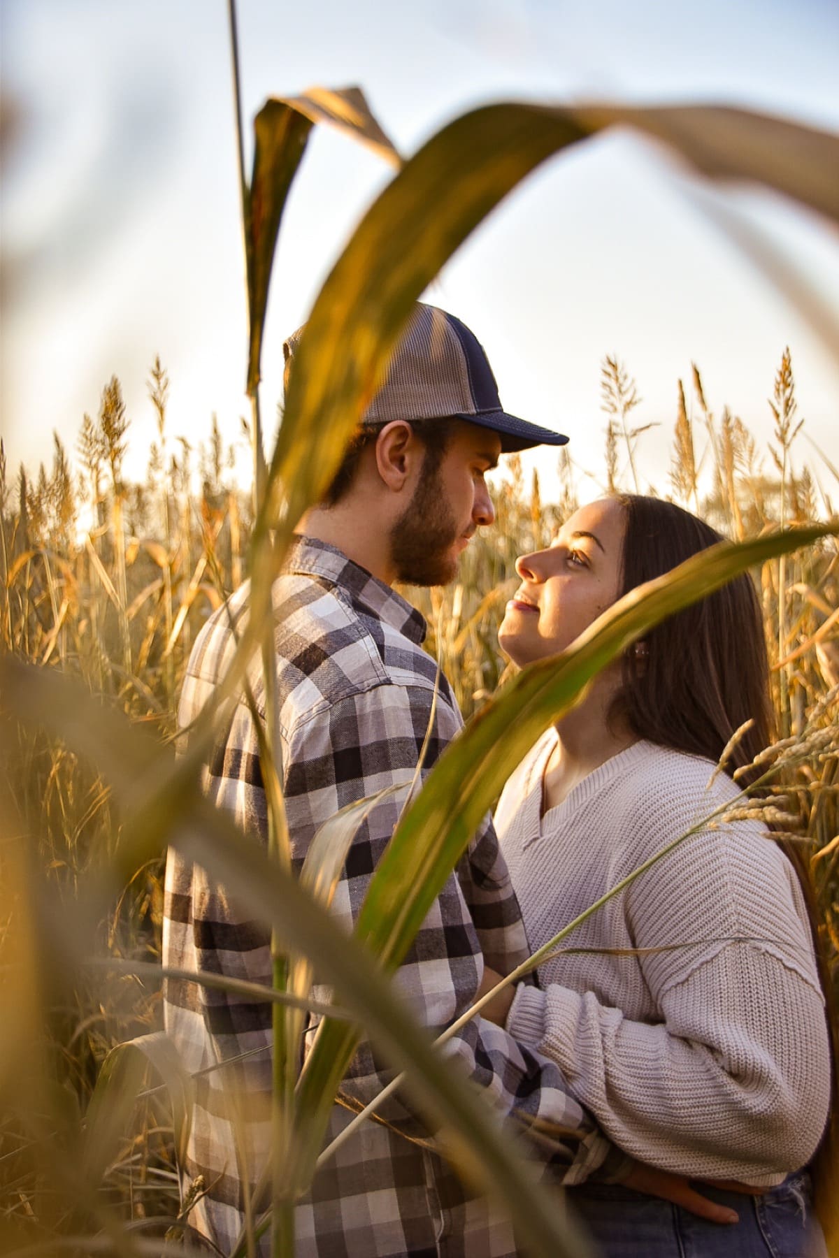 Couple sharing a quiet moment among tall autumn corn stalks