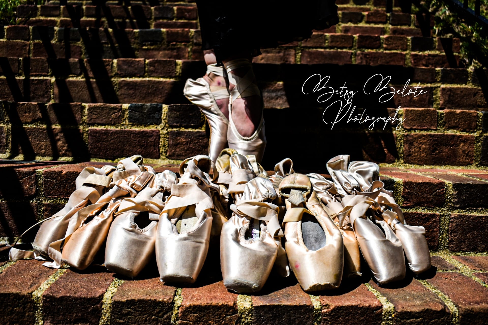 Family photo session